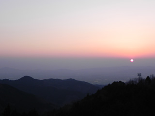 茶畑の風景